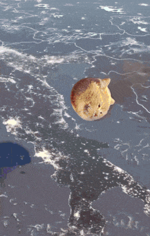 a picture of a rock in the middle of the ocean