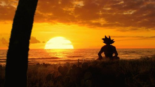 Sun Goku GIF - Sun Goku GIFs