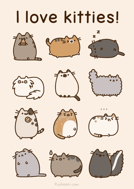a poster that says ' i love kitties ' on the top