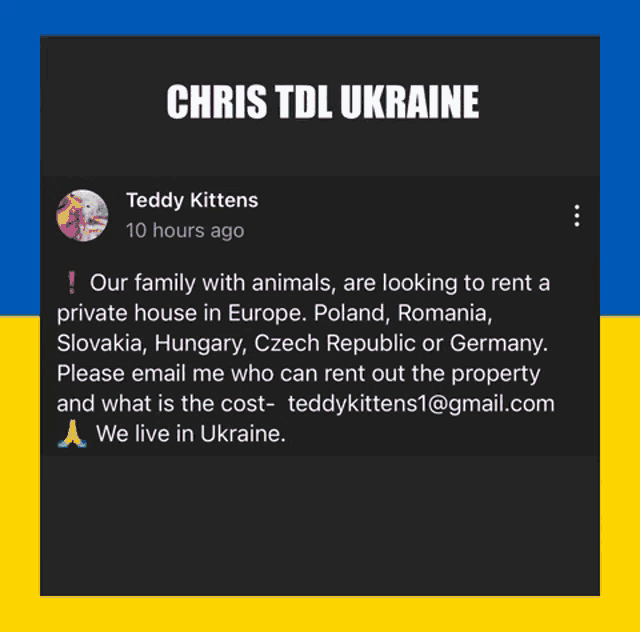 teddy kittens is looking to rent a private house in europe poland romania slovakia hungary and czech republic or germany