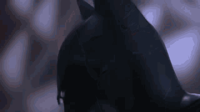 a close up of a person wearing a batman mask in the dark .