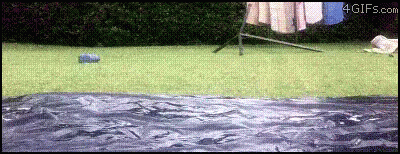 Waterslide GIF - Deal With It GIFs
