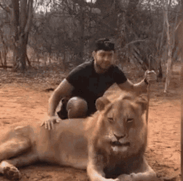 Thug Life Lion Scared GIF - Thug Life Lion Scared Wild Animal GIFs
