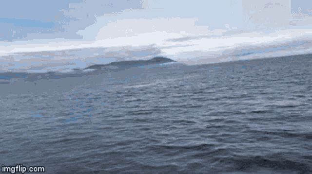 Splash Whale Breaching GIF - Splash Whale Breaching Next To Boat GIFs