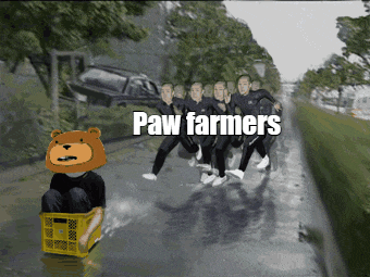 a group of people are running down a road with the words paw farmers written on the bottom
