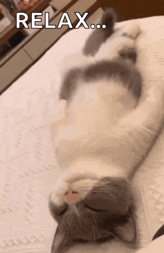 a cat is laying on its back on a bed with the words relax written above it .