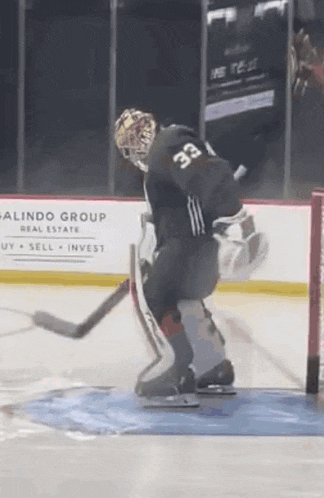 a hockey goalie with the number 33 on his back