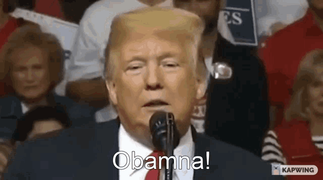 donald trump is giving a speech in front of a crowd while holding a microphone .