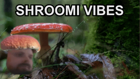 a picture of mushrooms with the words " shroomi vibes " on the bottom
