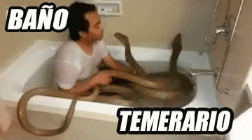 Baño Temerario GIF - Temerario Serpientes GIFs