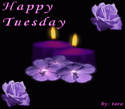 Happy Tuesday Purple GIF - Happy Tuesday Purple Candle GIFs