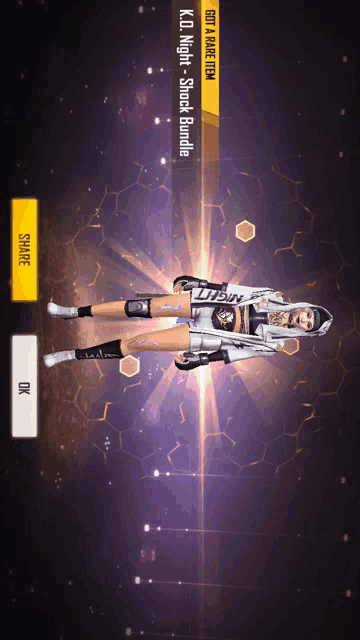 a screenshot of a k.o. night shock bundle