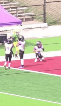 a football player wearing a jersey with the number 14 on it