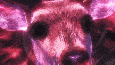 a close up of a deer 's face with purple eyes