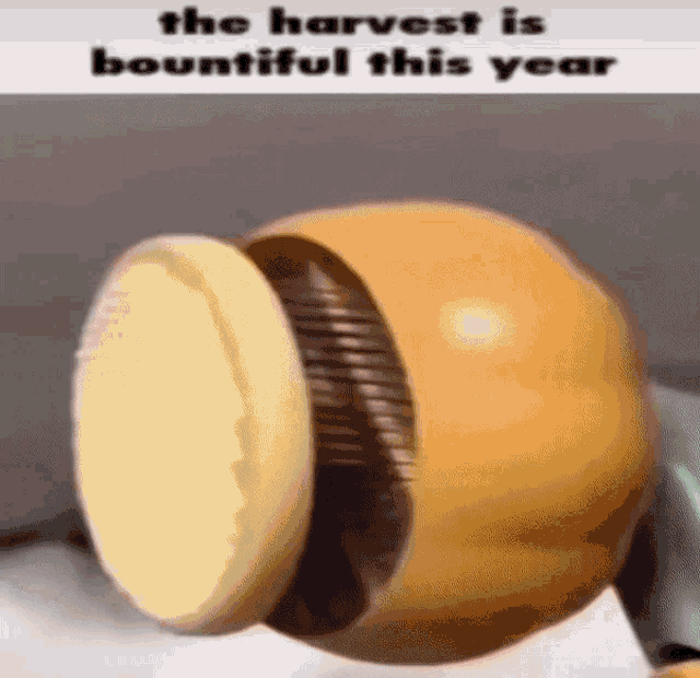 the harvest is bountiful this year is written on a picture of a pumpkin being cut in half .