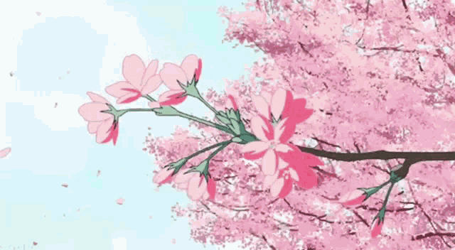 a cherry blossom tree with pink flowers and petals falling from it against a blue sky .