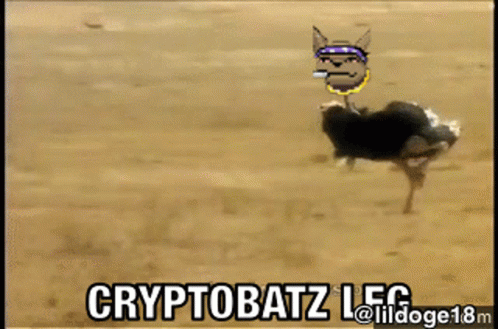 Cryptobatz Ozzy GIF - Cryptobatz Ozzy Osbourne GIFs
