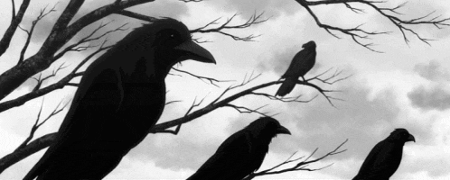a black and white photo of a flock of birds sitting on a tree branch