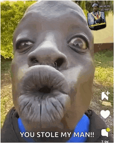 a close up of a man 's face with his mouth open and a caption that says you stole my man .