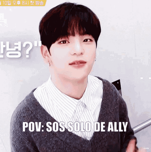 a young man wearing a sweater and a striped shirt says " pov : sos solo de ally "