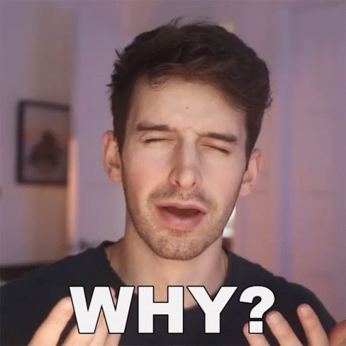 Why Joey Kidney GIF - Why Joey Kidney Questioning GIFs