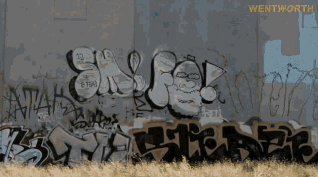 graffiti on a wall with the word wentworth on the bottom