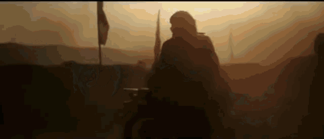 a silhouette of a man holding a gun in a field with flags in the background .