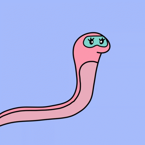 Snake GIF - Snake GIFs