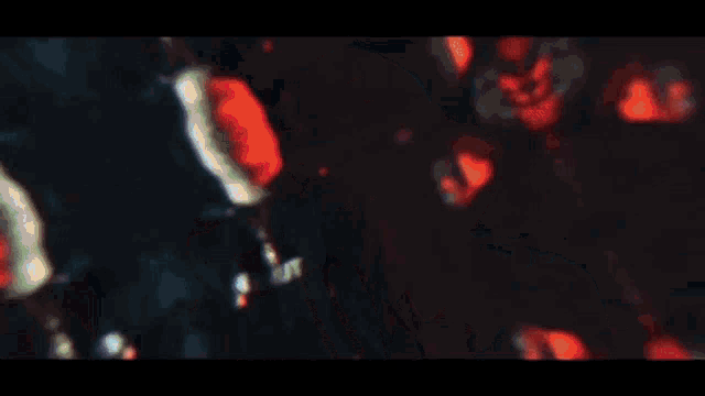 a close up of a person 's ear with a red line