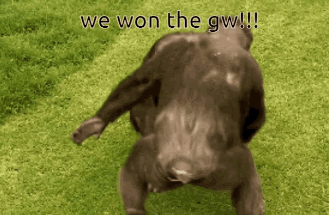 a picture of a dog with the words " we won the gw " above it