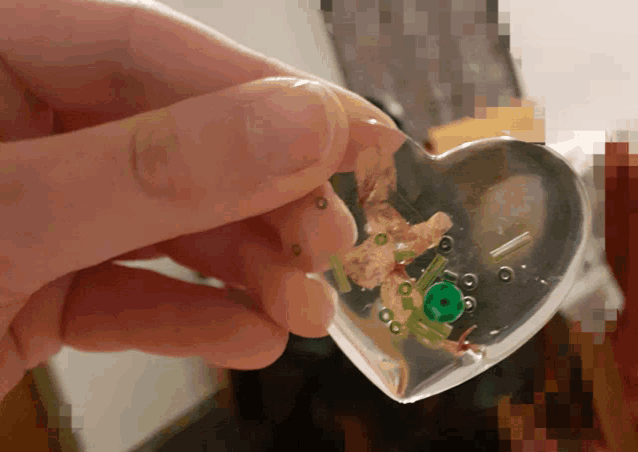 a person is holding a heart shaped object with a frog inside