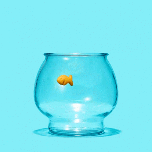 Goldfish Crackers GIF - Goldfish Crackers Salmonella Recall GIFs
