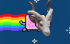 Nyan Cat GIF - Nyan Cat Antilope GIFs