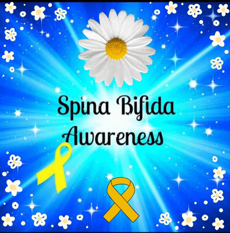 a poster for spina bifida awareness with a daisy and yellow ribbon