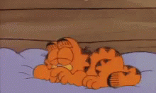 Morning Sweetie GIF - Morning Sweetie Garfield GIFs