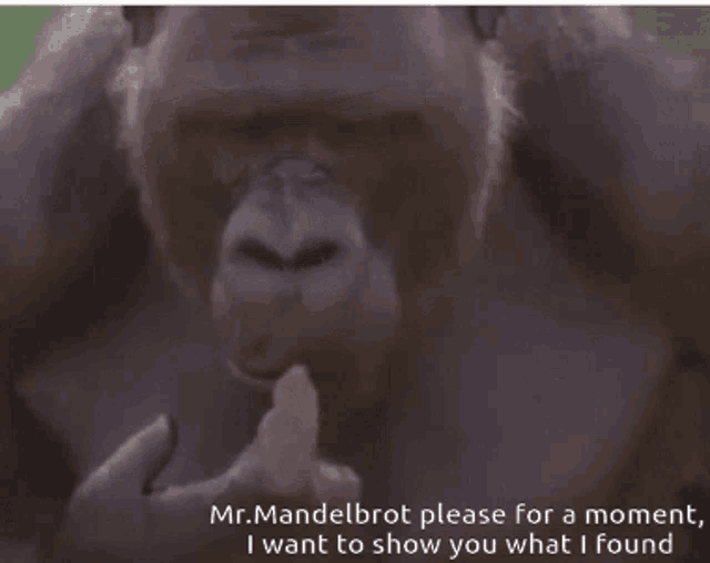 Gorilla Mr Mandelbrot GIF - Gorilla Mr Mandelbrot I Want To Show You What I Found GIFs