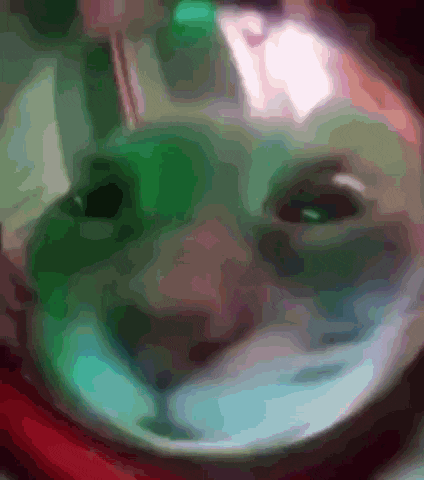 a blurry picture of a cat 's face with a green eye