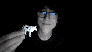 a man wearing glasses is holding a small white cow