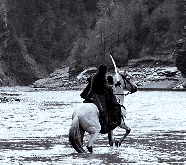 Lord Of The Rings Horse GIF - Lord Of The Rings Horse Lets Do This GIFs