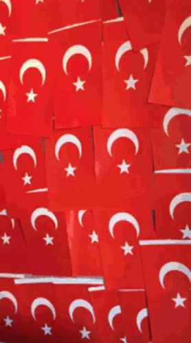 Turkey Representing GIF - Turkey Representing Boy GIFs