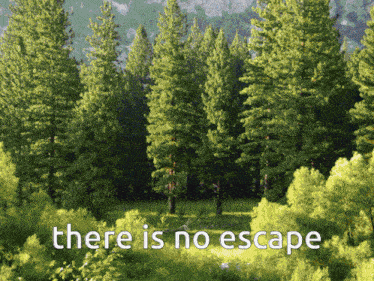 a picture of a forest with the caption there is no escape