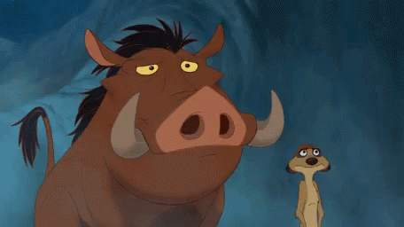 Timon And Pumba Oh GIF - Timon And Pumba Oh Lion King GIFs