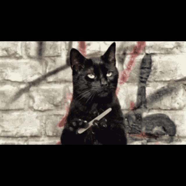 Happy Friday The13th Salem GIF - Happy Friday The13th Salem Cat GIFs
