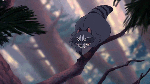 a cartoon raccoon is standing on a tree branch in the woods
