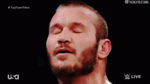 Randy Orton Rko GIF - Randy Orton Rko Wwe GIFs