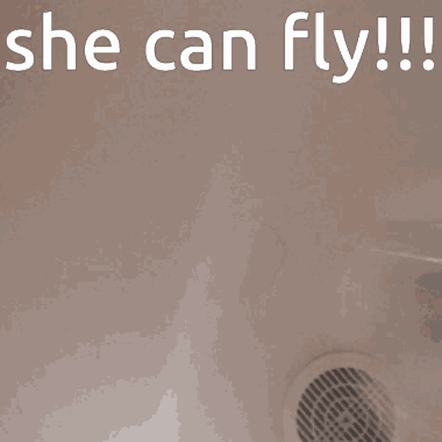 a blurred image of a person with the words she can fly written above them