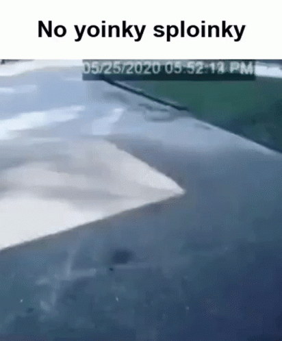 No Yoinky Sploinky That Yoinky Sploinky GIF - No Yoinky Sploinky That Yoinky Sploinky GIFs