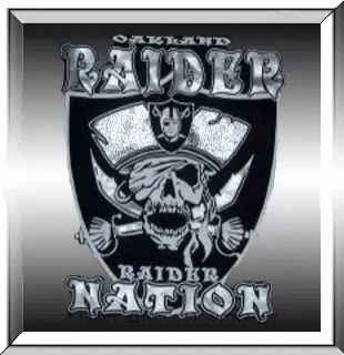 Oakland Raiders Nfl GIF