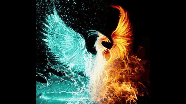 Phoenix Fire GIF - Phoenix Fire GIFs