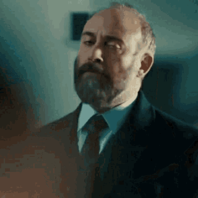 a man with a beard is wearing a suit and tie and looking at the camera .